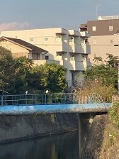 シーグラスコート由比ガ浜35